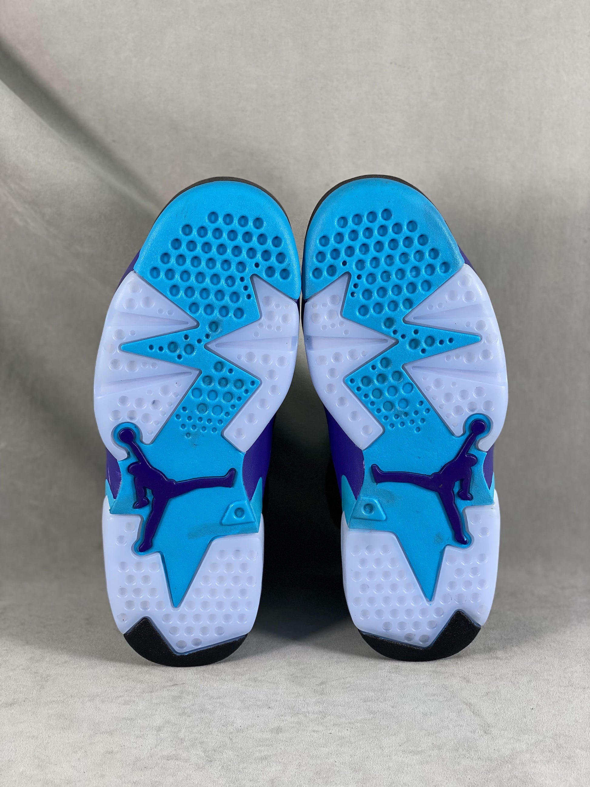 Air Jordan 6 “AQUA”